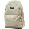 Рюкзак DAKINE 247 PACK 24L DESERT SAGE 10003253 (0194626391588)